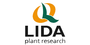 lida