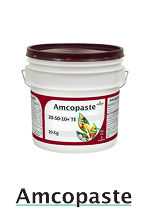 AMCO PAST 20/50/10 + TE