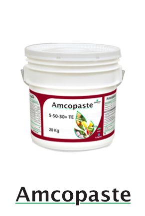 AMCO PAST