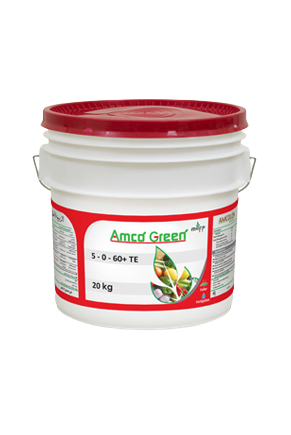AMCO GREEN