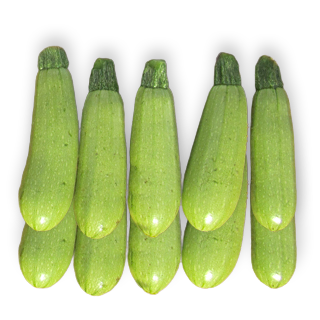 REVERA