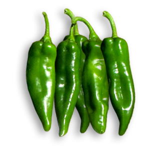 SAHUARO