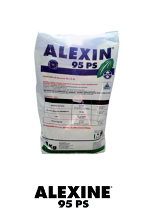 ALEXIN 95 PS