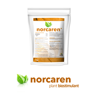 NORCAREN