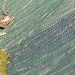 PAILLAGE BICOLORE