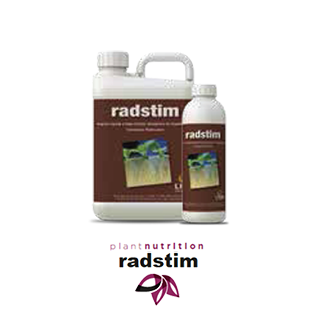 RADSTIM