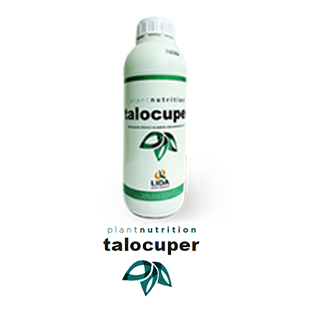 ALOCUPER
