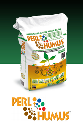 PERLHUMUS