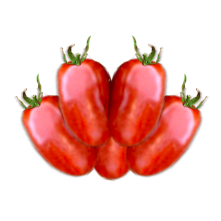 SABRA