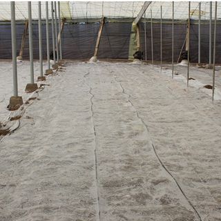 FILM DE SOLARISATION