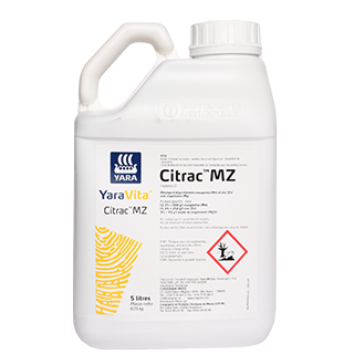 CITRAC MZ