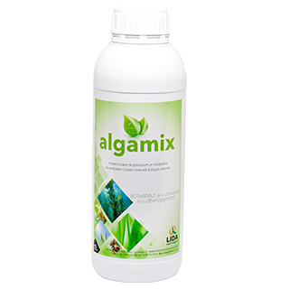 ALGAMIX