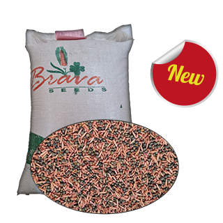 Mélange Vesce Triticale