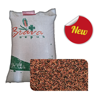 Mélange Vesce Triticale Avoine